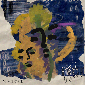 黄频视频大全免费的
