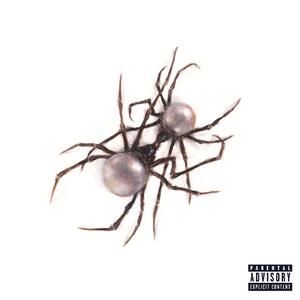 黄频视频大全免费的
