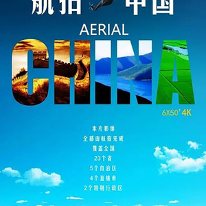 黄频视频大全免费的
